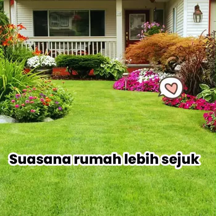 WhatsApp Image 2026-07-06 at 18.24.22